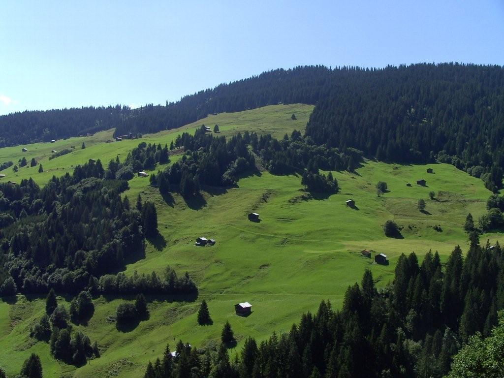 Scenari alpini